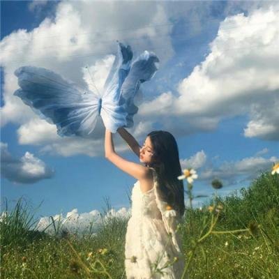 喵星少年漂流记
